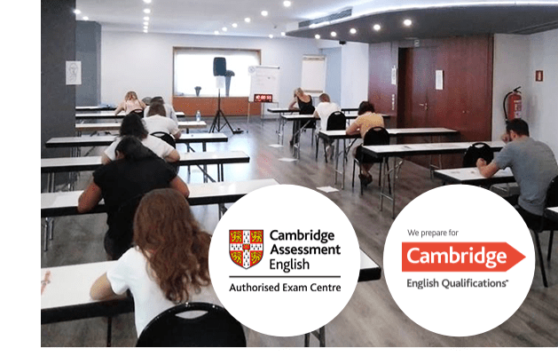 web-zoom-cursos-empresas-818